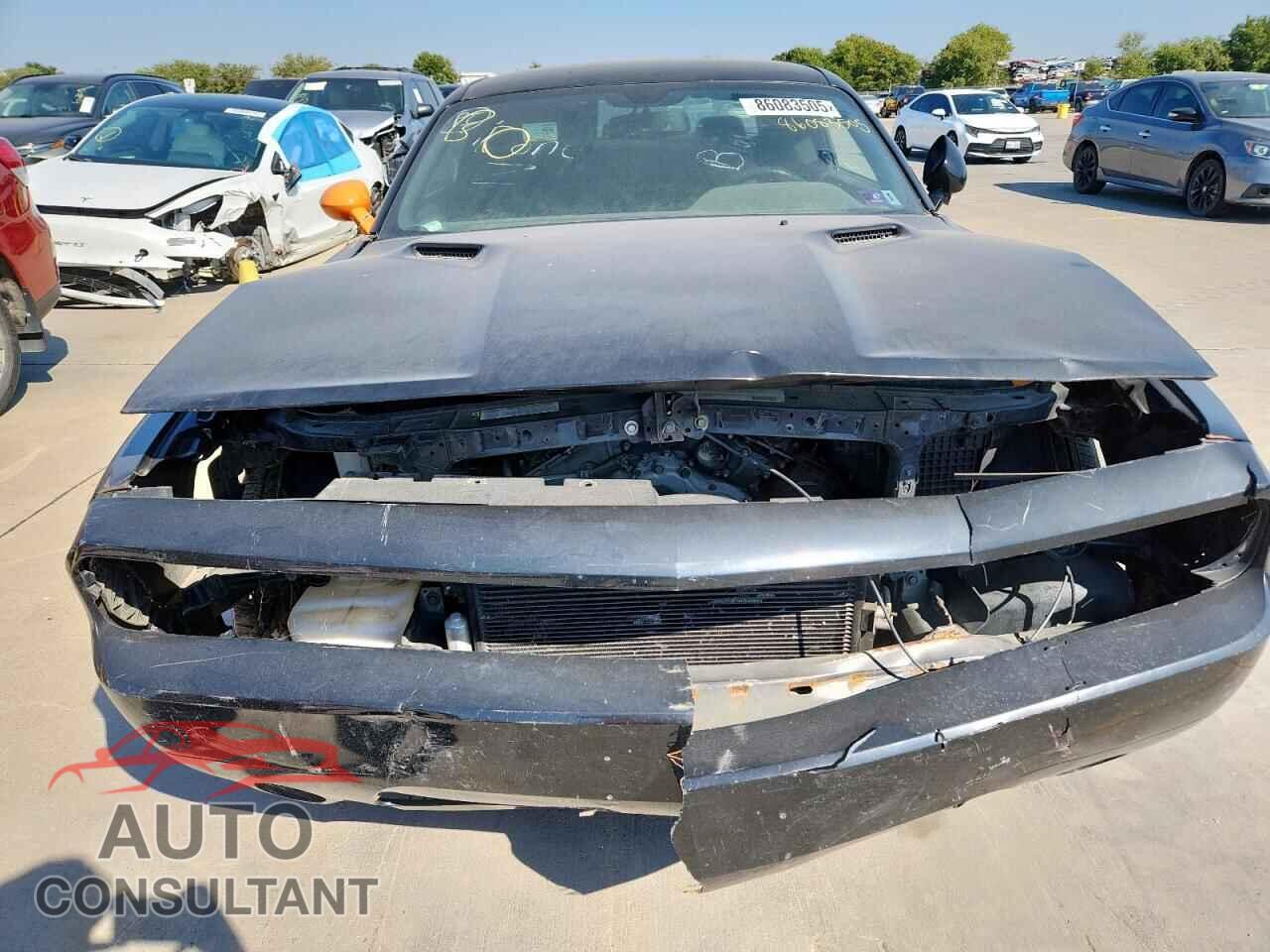 DODGE CHALLENGER 2012 - 2C3CDYAG3CH181319