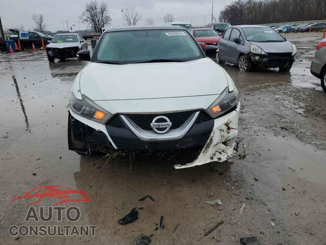 NISSAN MAXIMA 2017 - 1N4AA6AP5HC391503