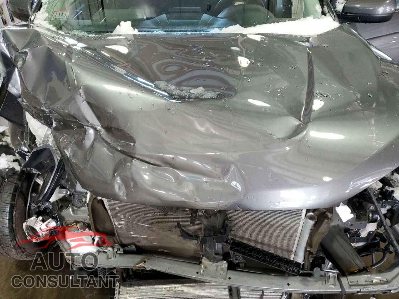 FORD EDGE 2024 - 2FMPK4J90RBA72059