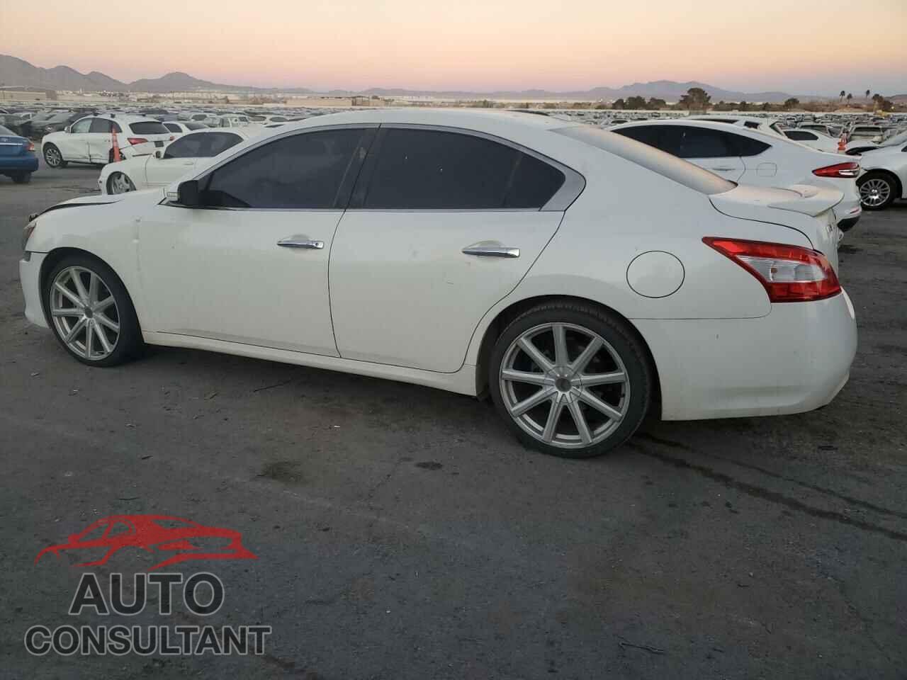 NISSAN MAXIMA 2011 - 1N4AA5AP8BC805830