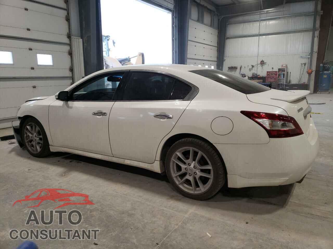 NISSAN MAXIMA 2009 - 1N4AA51E99C819700