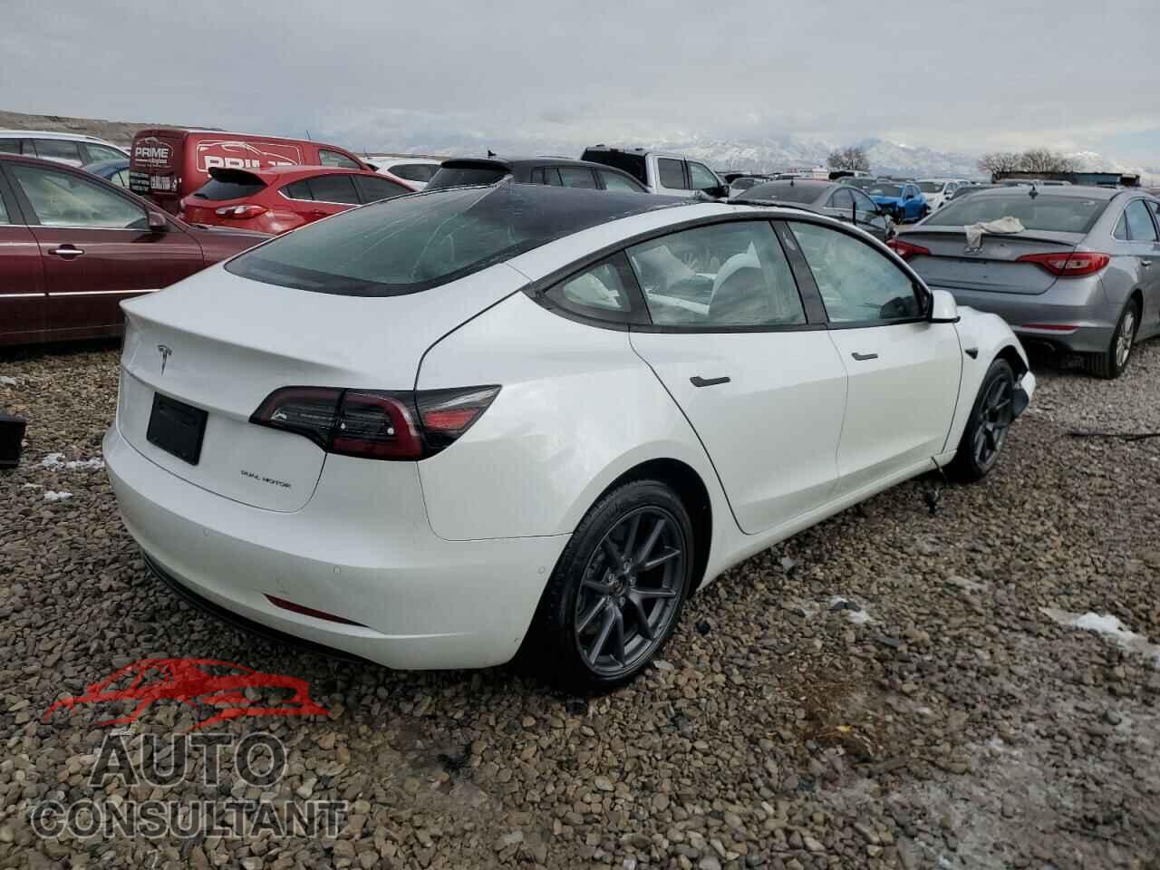 TESLA MODEL 3 2021 - 5YJ3E1EBXMF992959