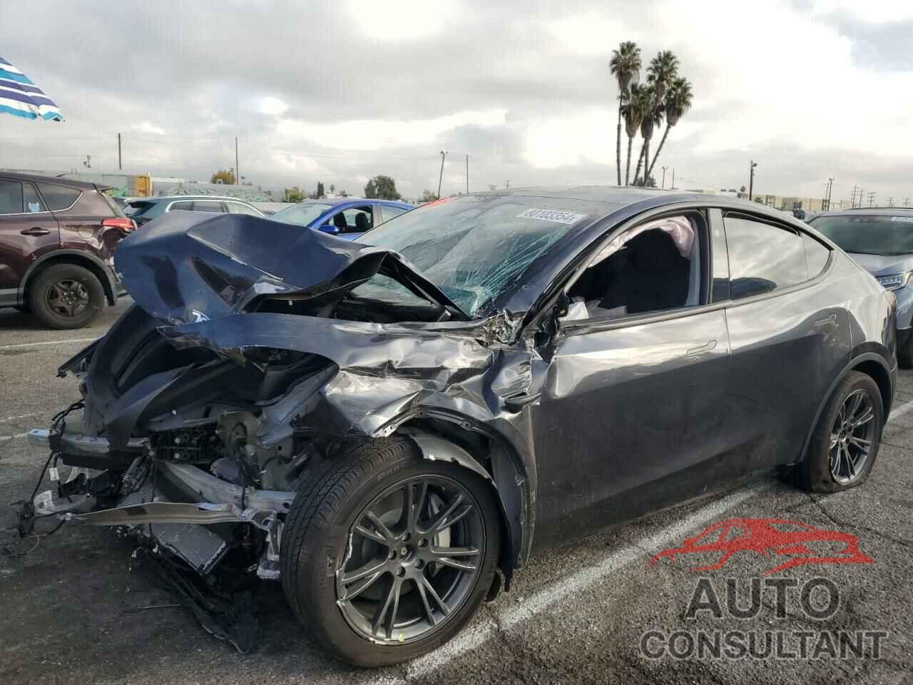 TESLA MODEL Y 2024 - 7SAYGDEE4RF104941