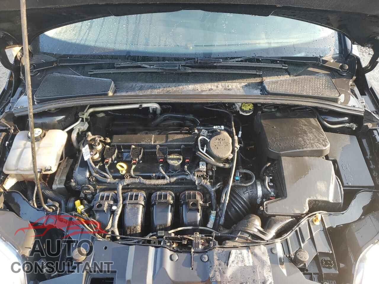 FORD FOCUS 2013 - 1FADP3F22DL122571