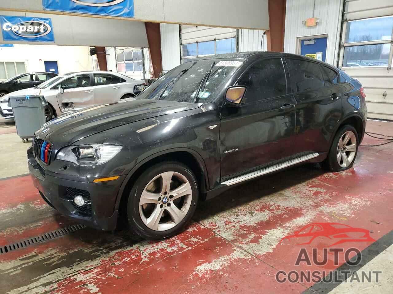 BMW X6 2010 - 5UXFG8C55ALZ94669