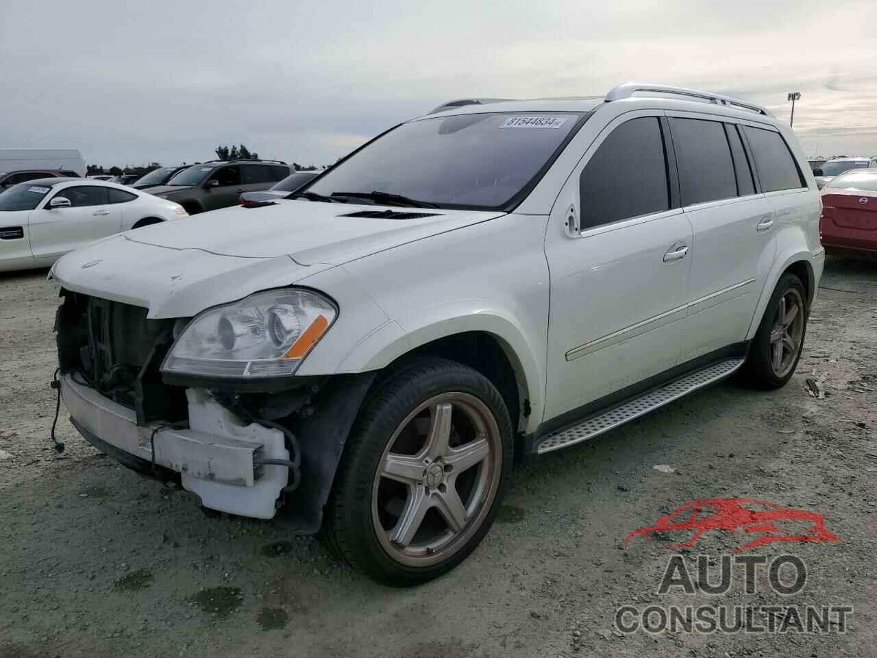 MERCEDES-BENZ GL-CLASS 2009 - 4JGBF86E59A452036