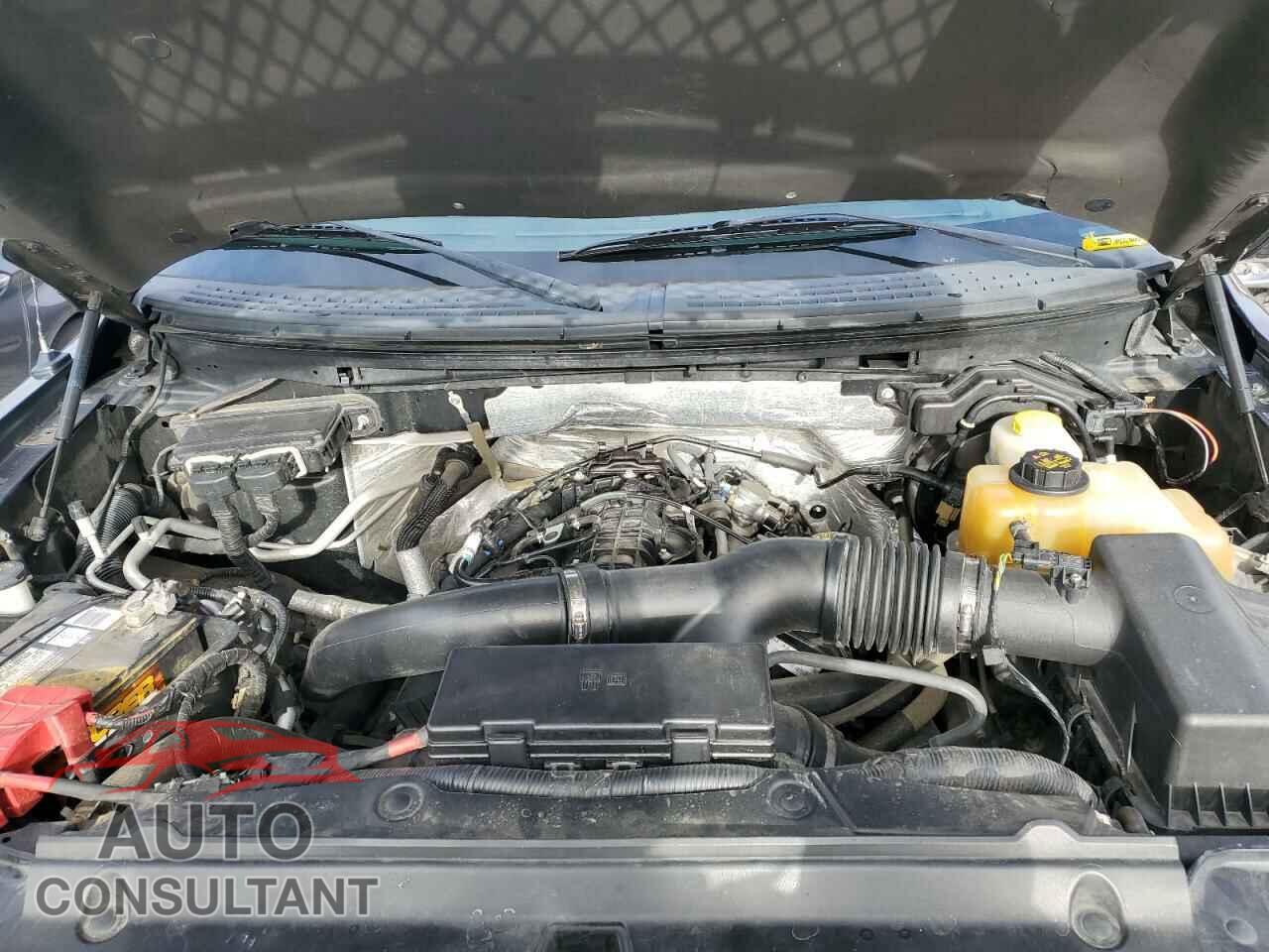FORD F-150 2013 - 1FTFW1ET0DFD76542