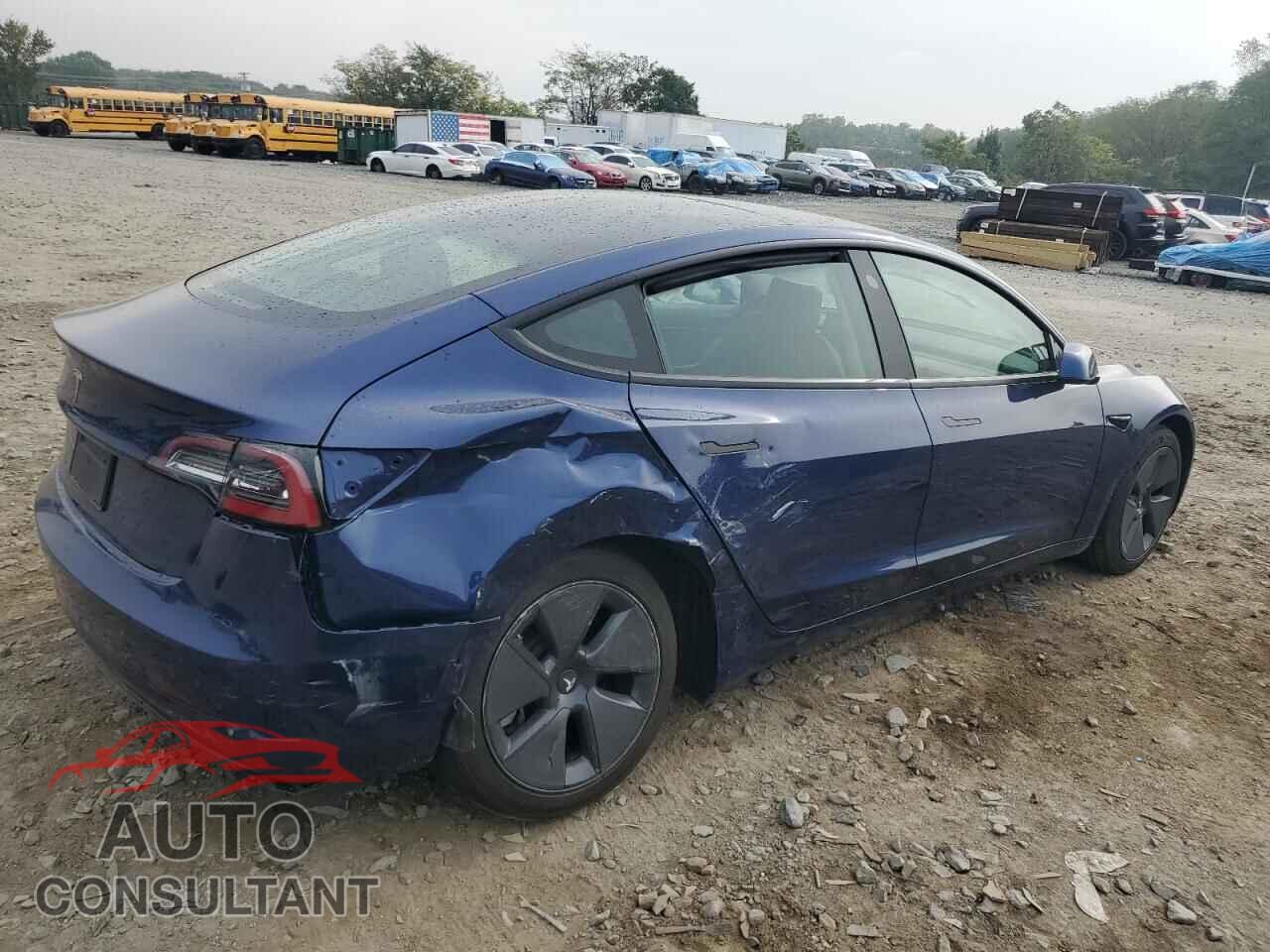 TESLA MODEL 3 2021 - 5YJ3E1EA4MF907542