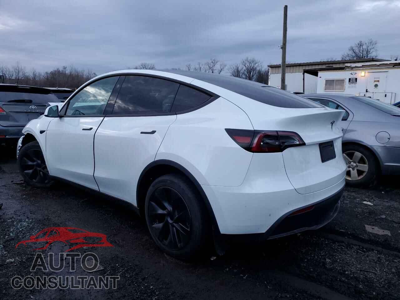 TESLA MODEL Y 2024 - 7SAYGDED2RF159699