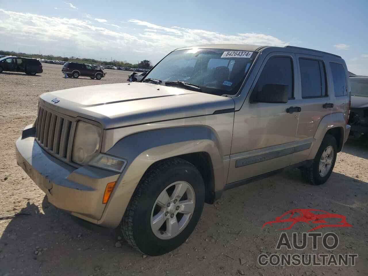 JEEP LIBERTY 2010 - 1J4PP2GK9AW123432