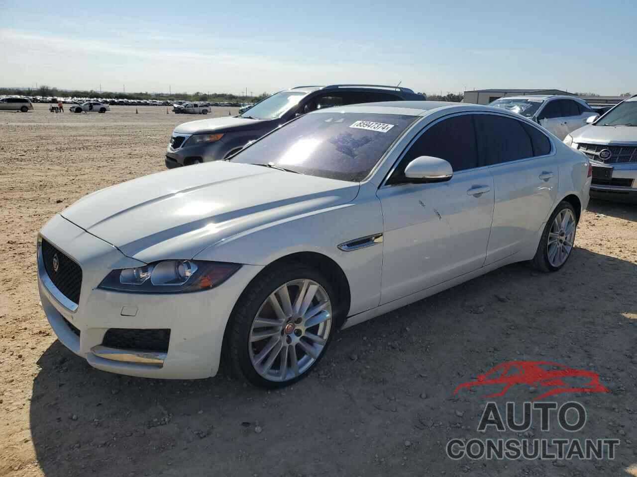 JAGUAR XF 2016 - SAJBD4BV1GCY10728