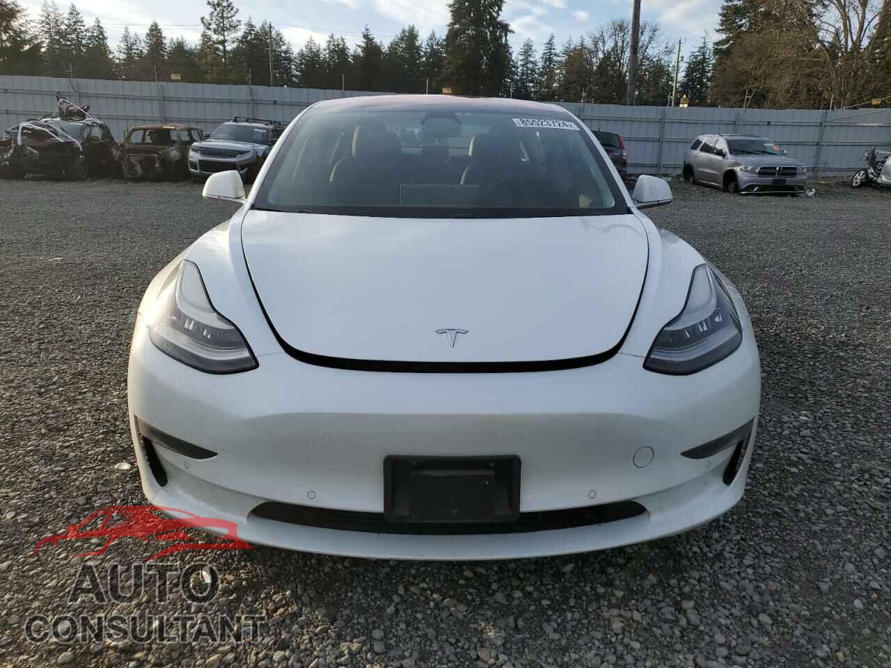 TESLA MODEL 3 2018 - 5YJ3E1EA5JF017384