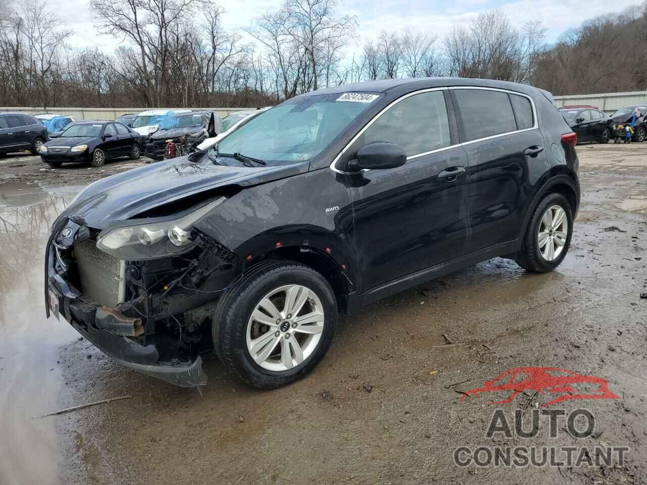 KIA SPORTAGE 2017 - KNDPMCAC9H7118998