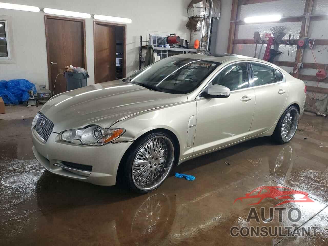 JAGUAR XF 2009 - SAJWA05B19HR10029