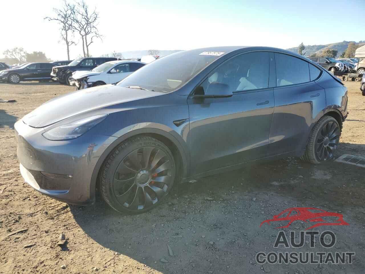 TESLA MODEL Y 2022 - 7SAYGDEF2NF459965