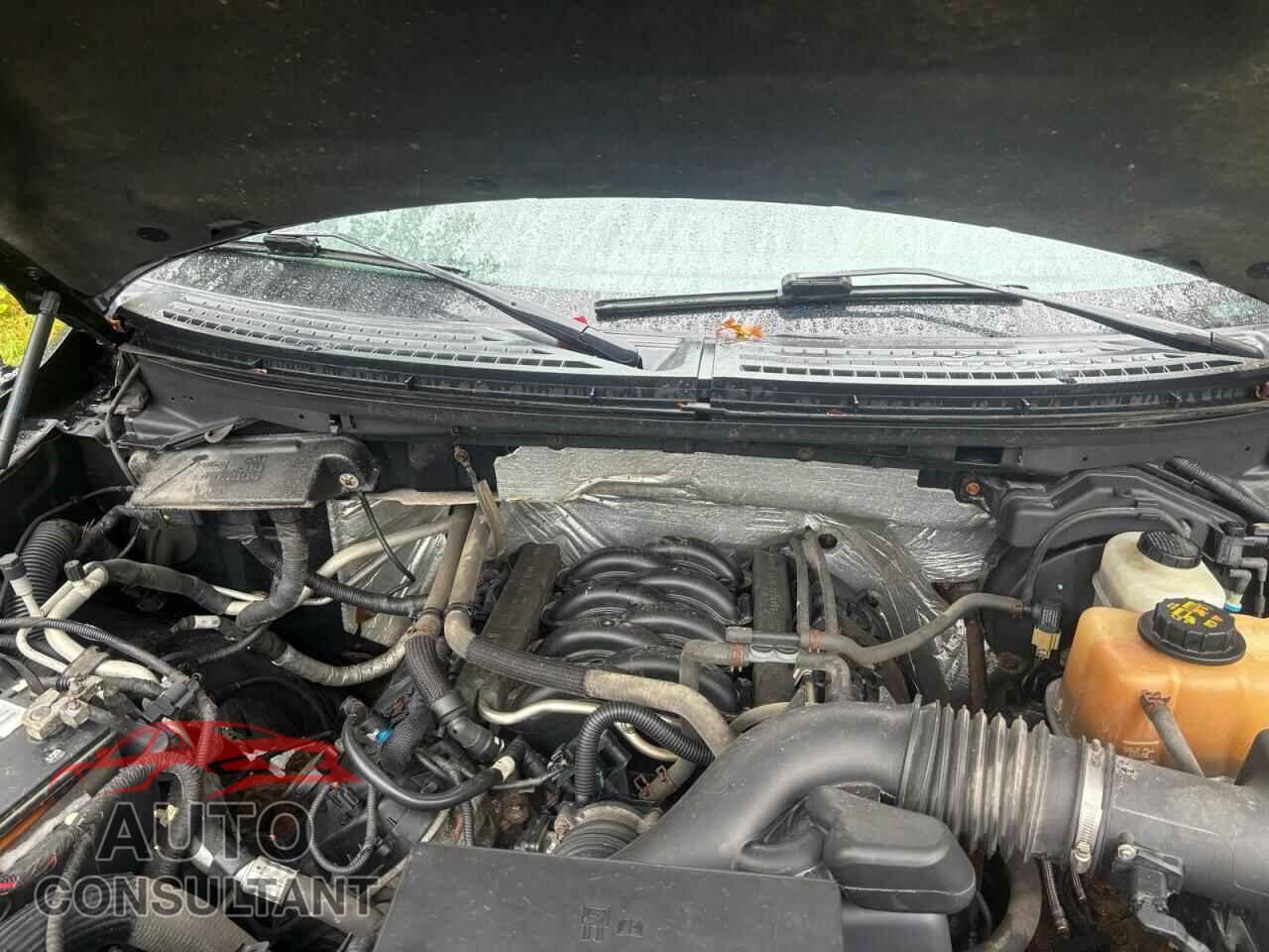FORD F-150 2012 - 1FTFX1EF3CFA08006