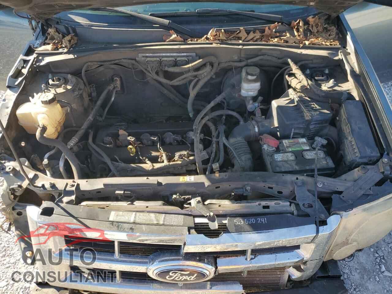 FORD ESCAPE 2012 - 1FMCU0C71CKC43475