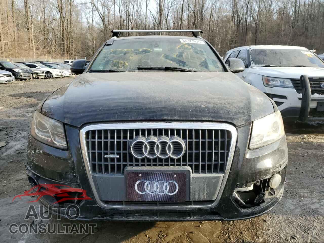 AUDI Q5 2011 - WA1LFAFP8BA045295