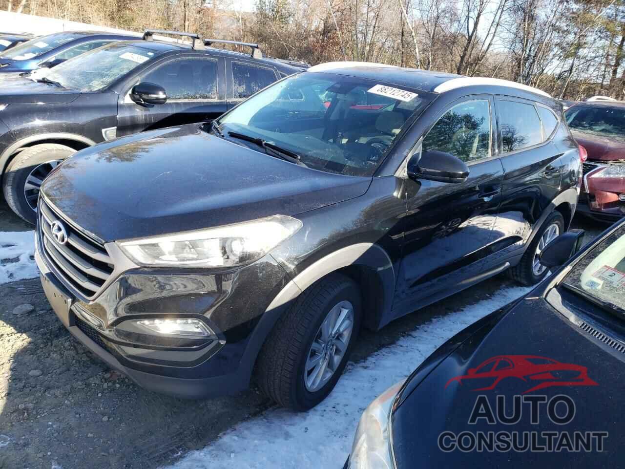 HYUNDAI TUCSON 2016 - KM8J3CA46GU138820