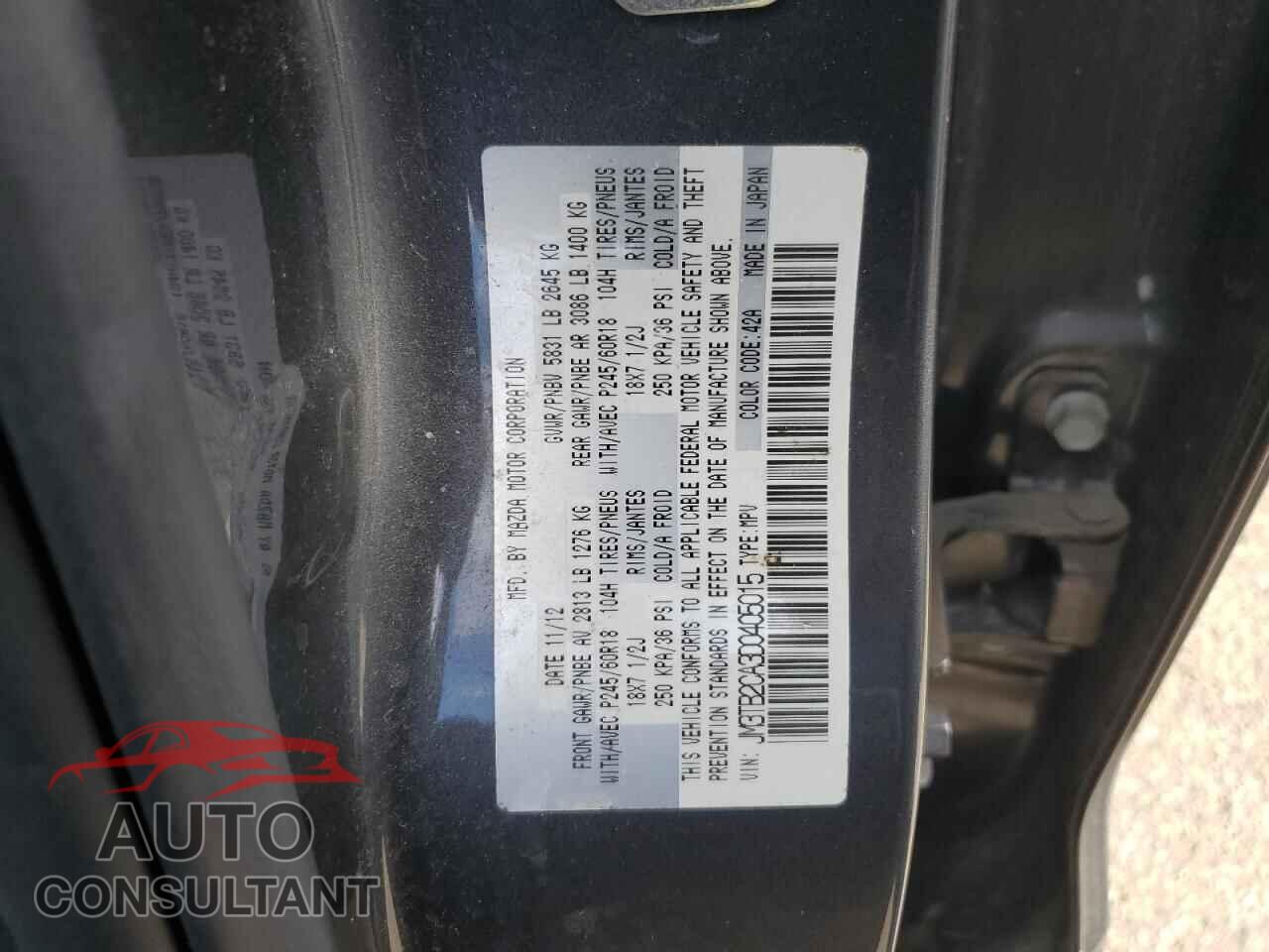 MAZDA CX-9 2013 - JM3TB2CA3D0405015