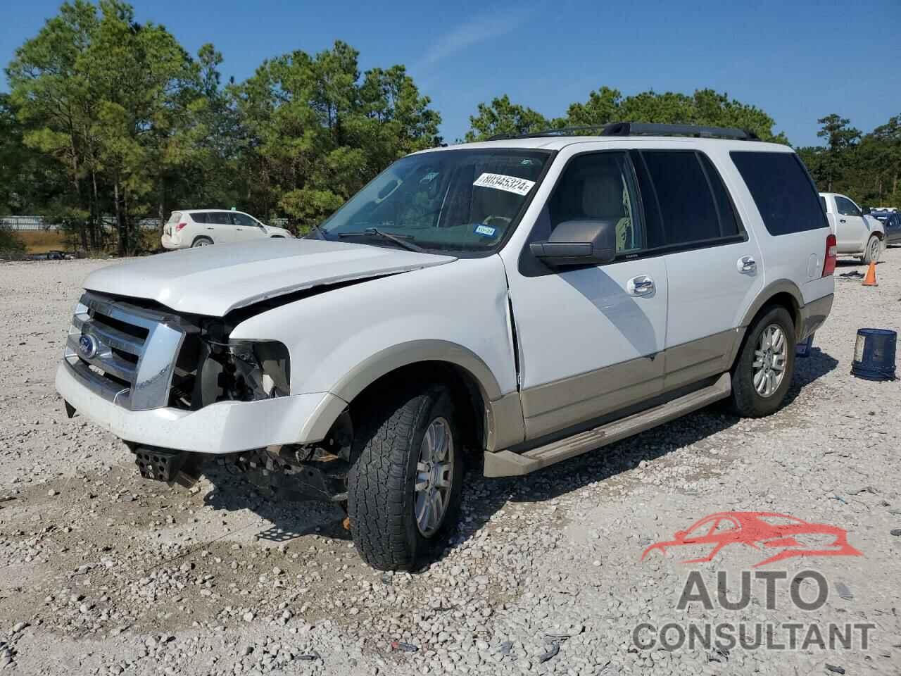 FORD EXPEDITION 2010 - 1FMJU1J50AEB54460