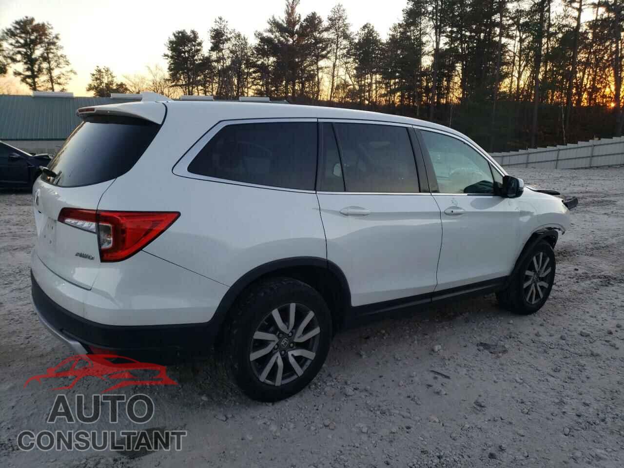 HONDA PILOT 2021 - 5FNYF6H38MB092260