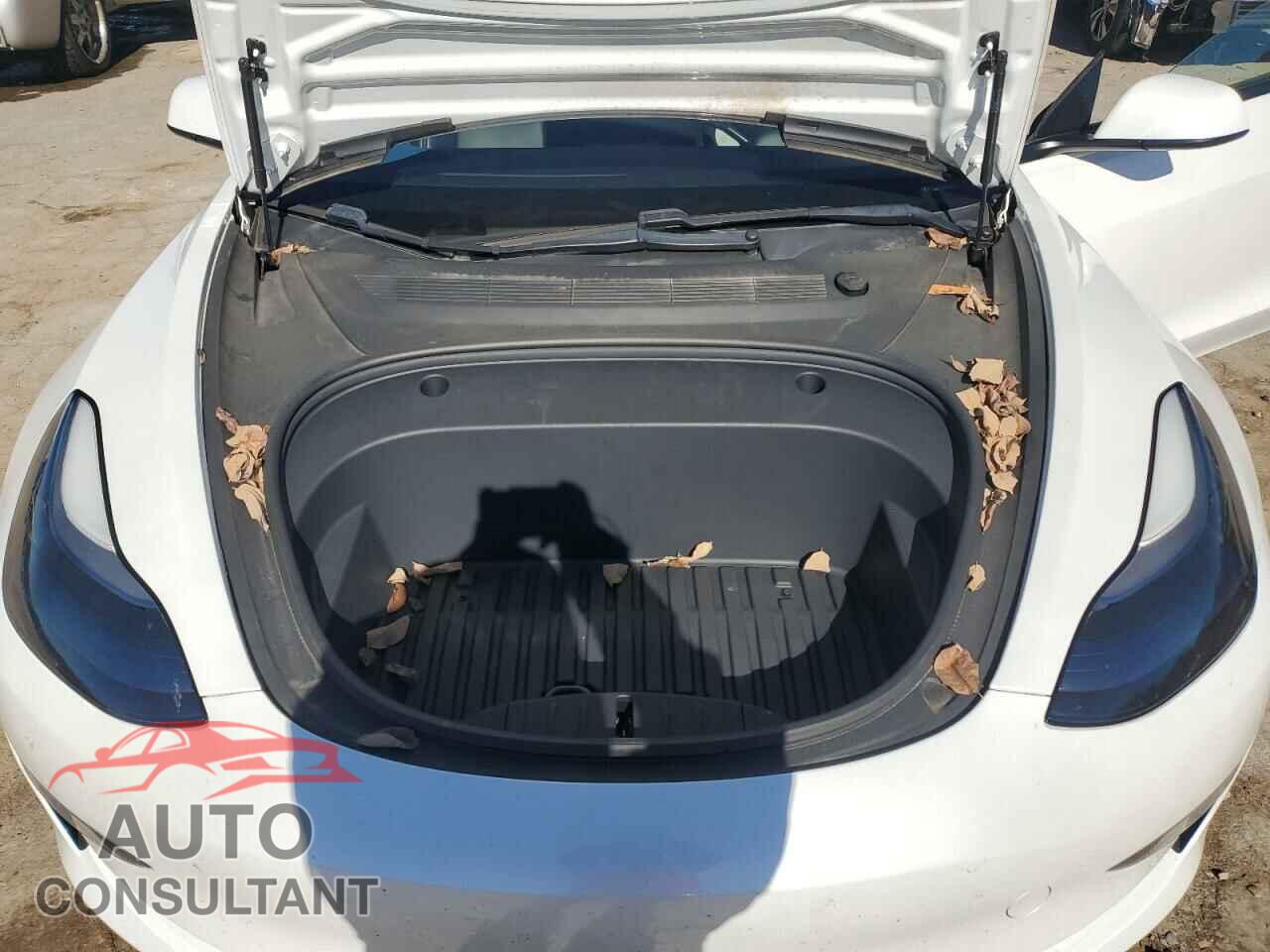 TESLA MODEL 3 2021 - 5YJ3E1EA1MF921222