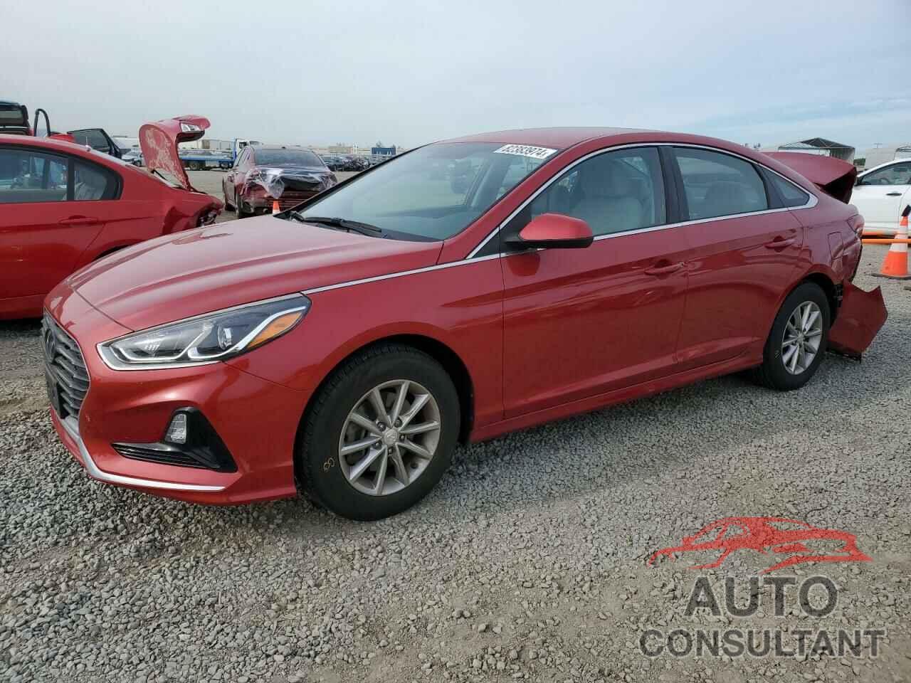 HYUNDAI SONATA 2019 - 5NPE24AF7KH821189