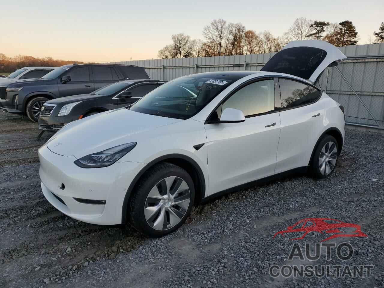 TESLA MODEL Y 2021 - 5YJYGDEE6MF260890