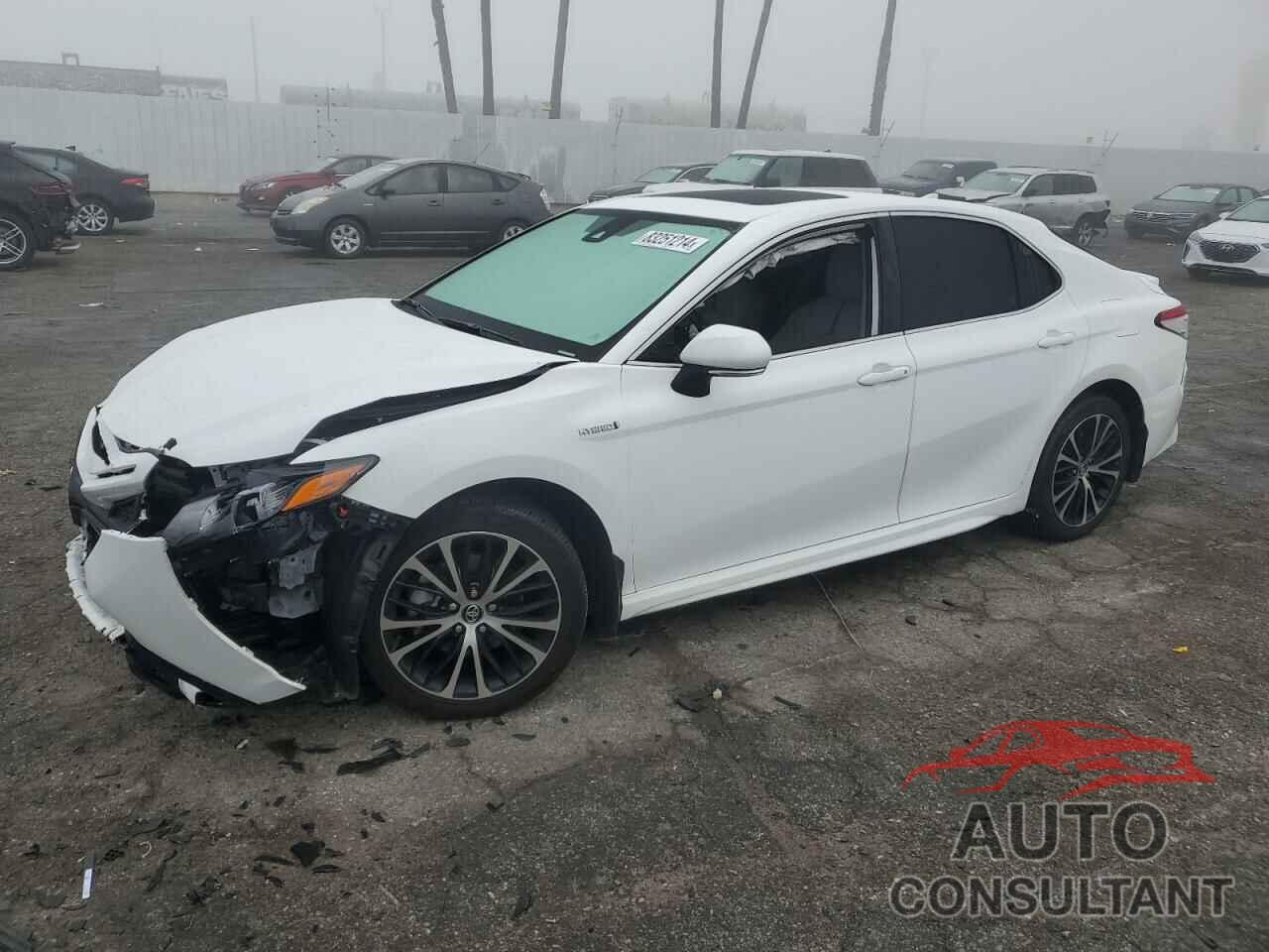 TOYOTA CAMRY 2021 - 4T1S31AK7MU569959