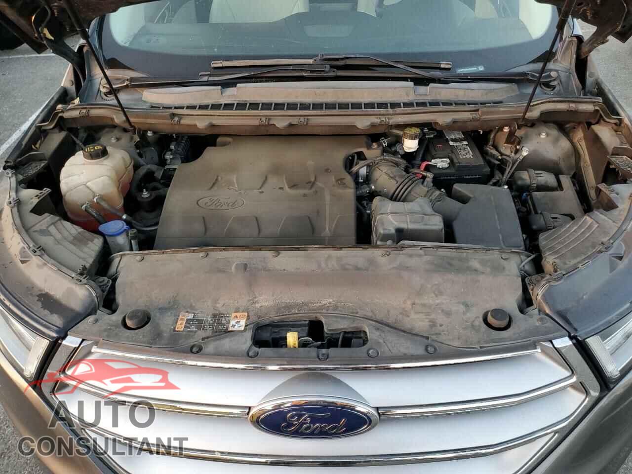 FORD EDGE 2018 - 2FMPK3K89JBB88509