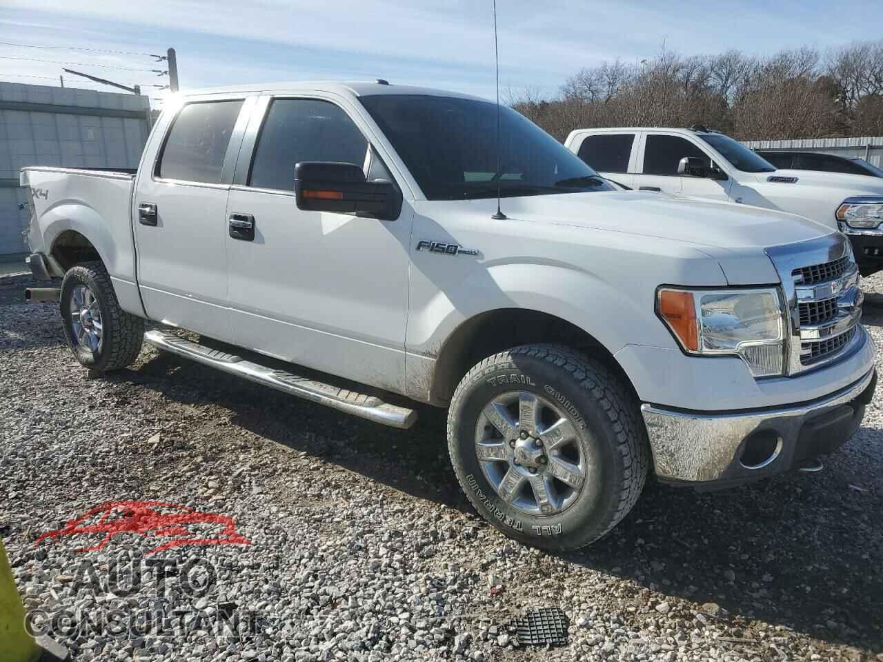 FORD F-150 2013 - 1FTFW1EF8DFD30967