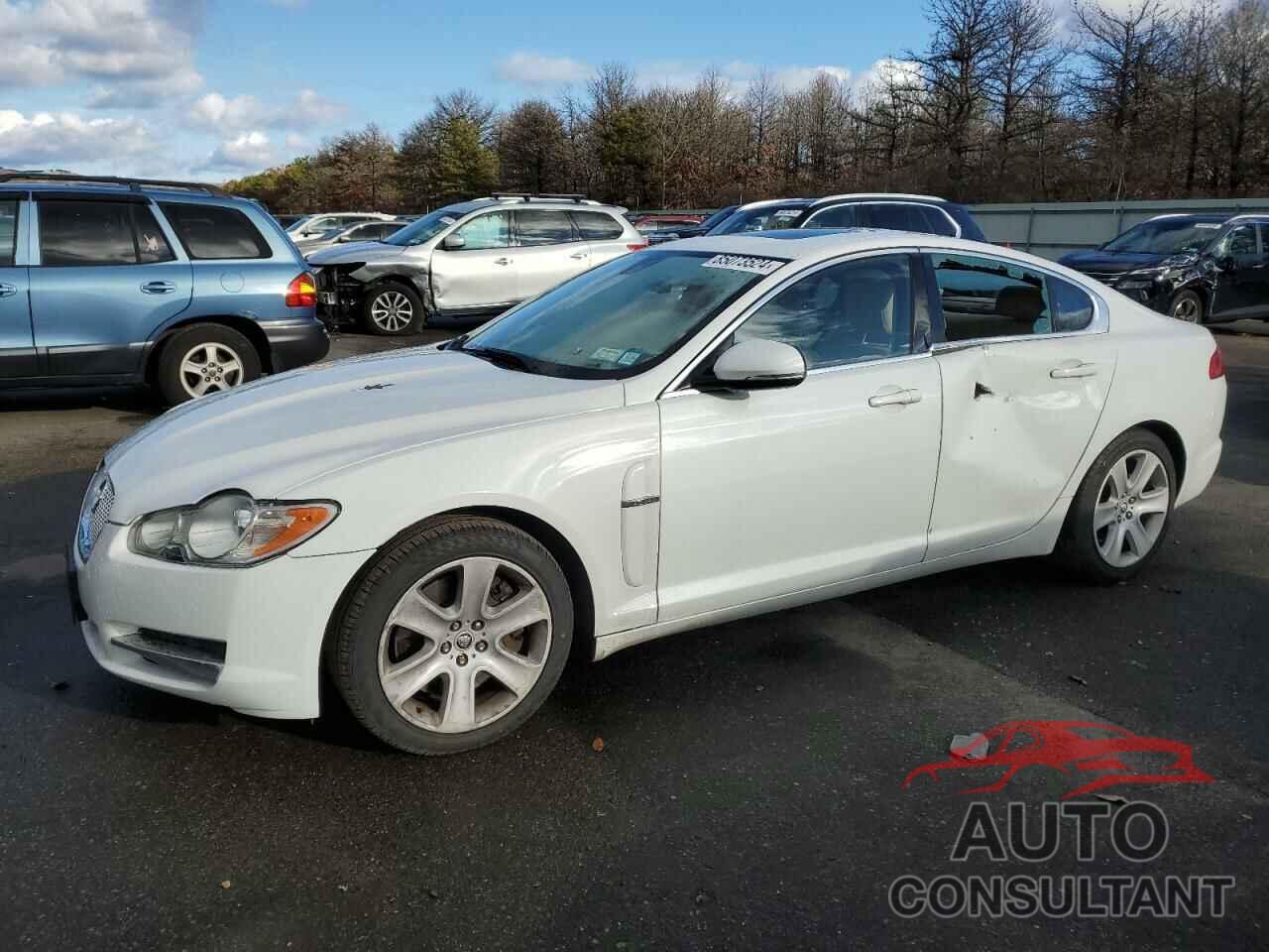 JAGUAR XF 2011 - SAJWA0FB3BLS17853