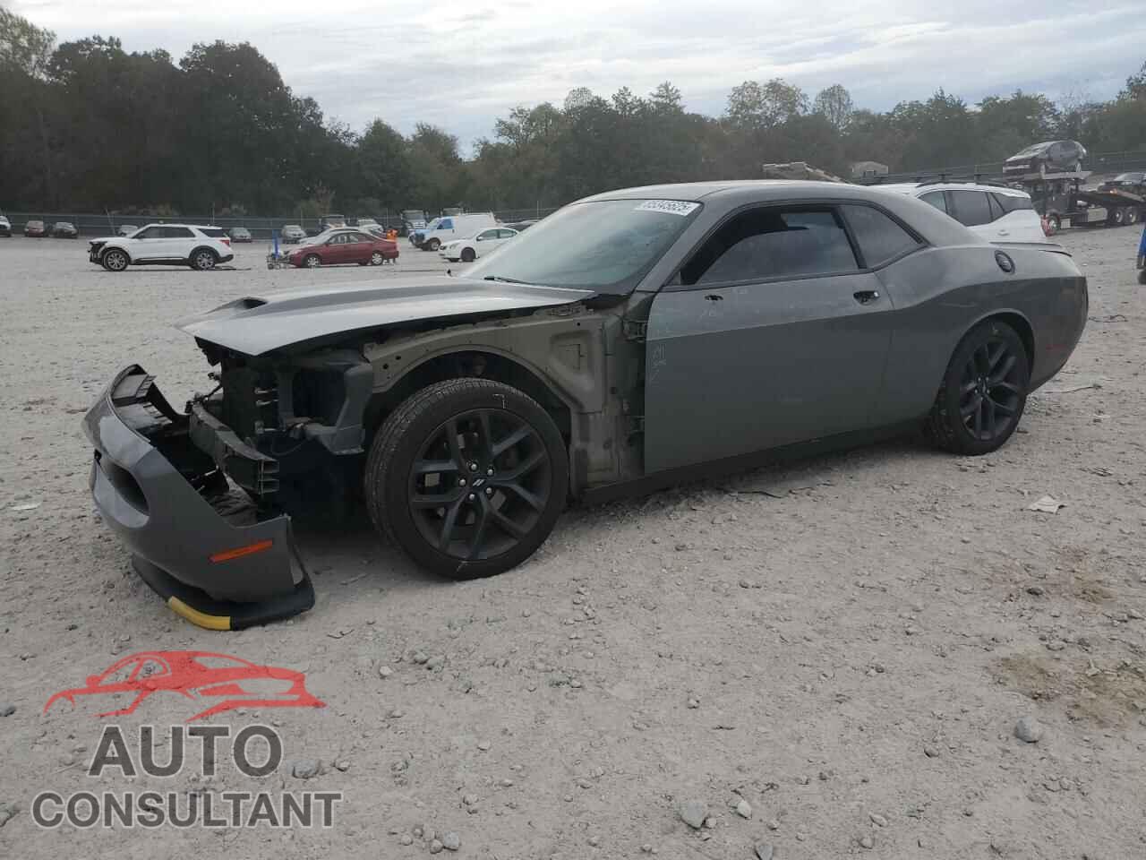 DODGE CHALLENGER 2019 - 2C3CDZBT1KH552364