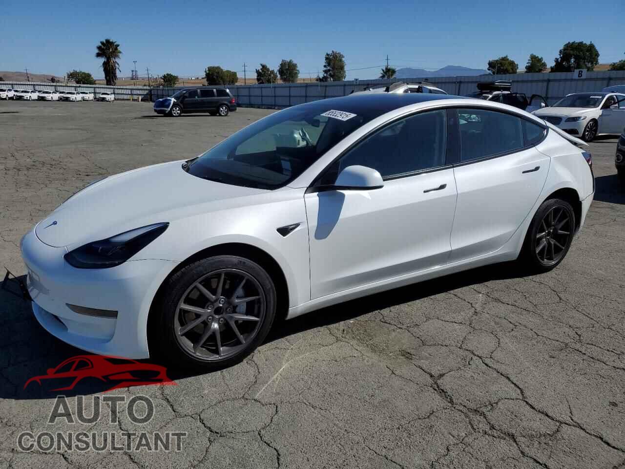TESLA MODEL 3 2023 - 5YJ3E1EA6PF587239