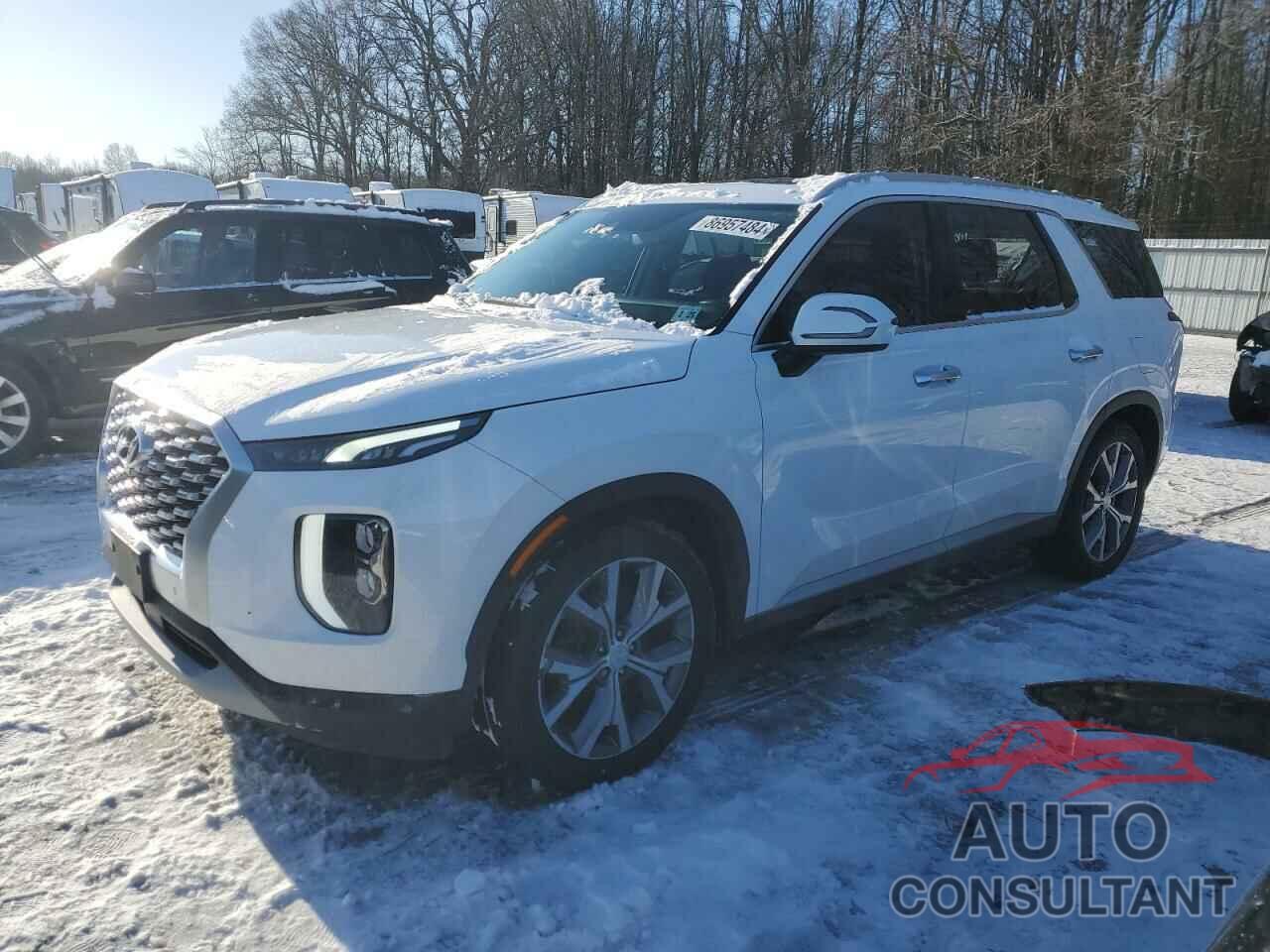 HYUNDAI PALISADE 2020 - KM8R4DHE8LU095273