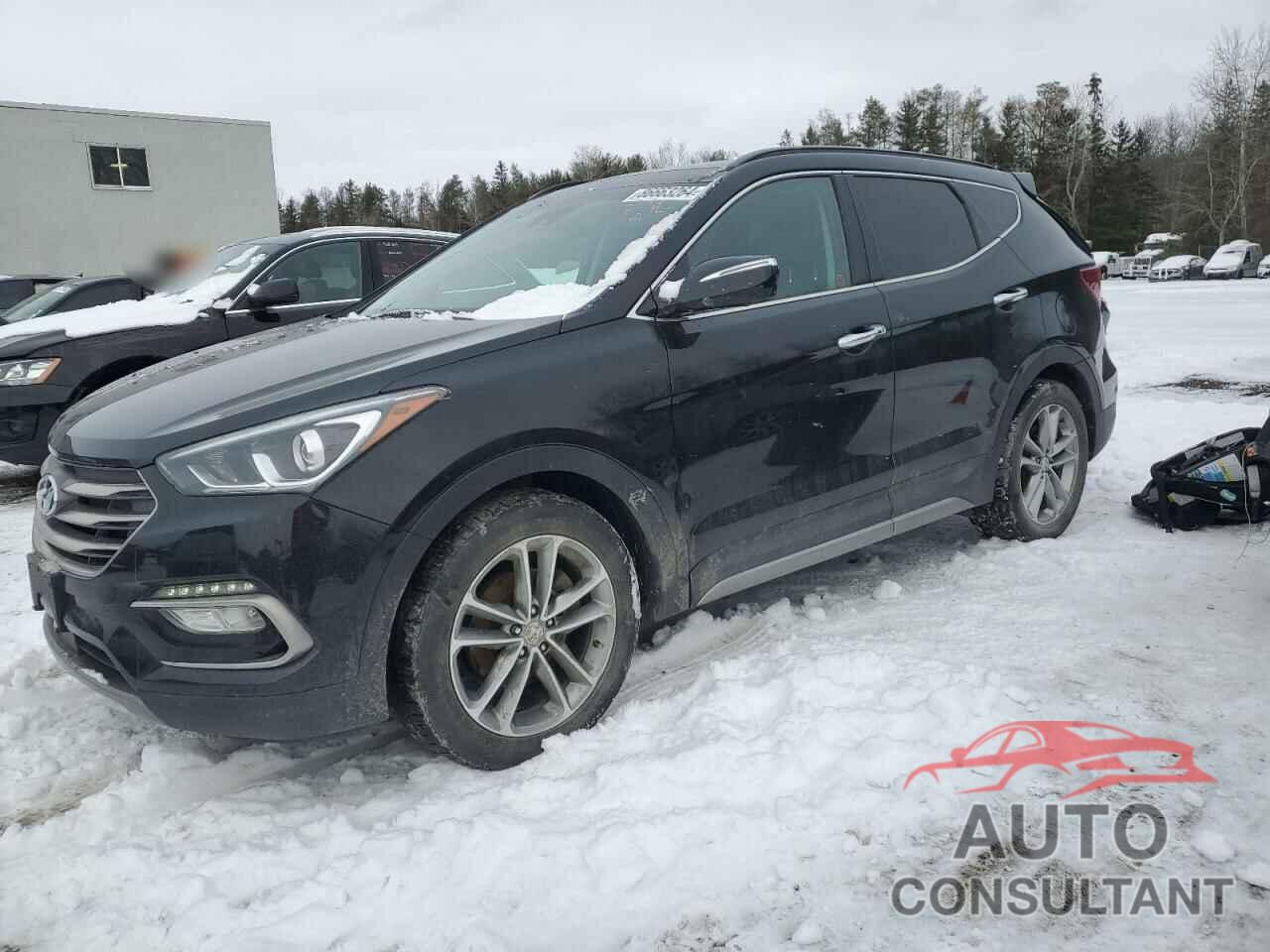 HYUNDAI SANTA FE 2017 - 5XYZUDLA3HG500697