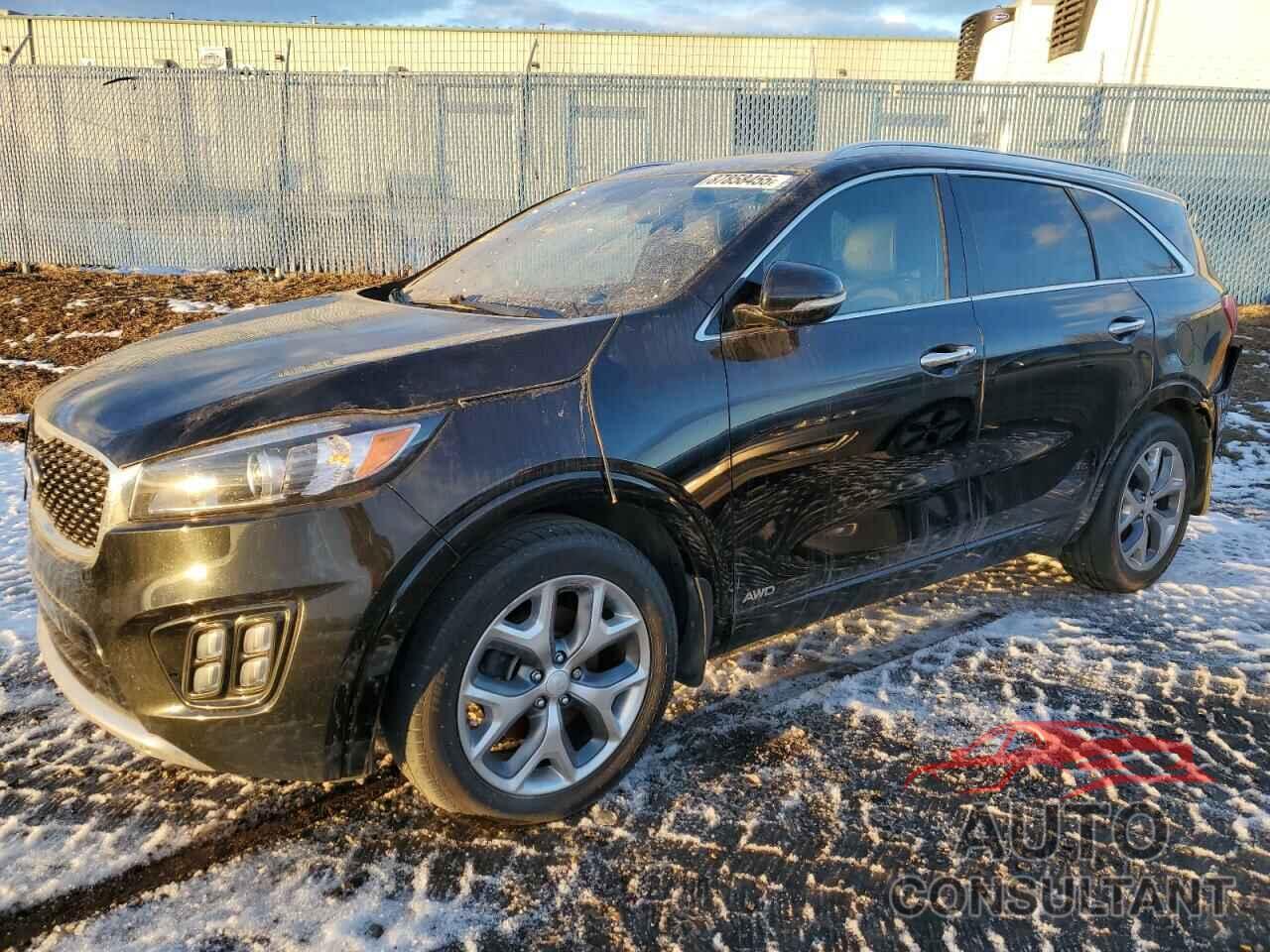 KIA SORENTO 2016 - 5XYPKDA18GG153754