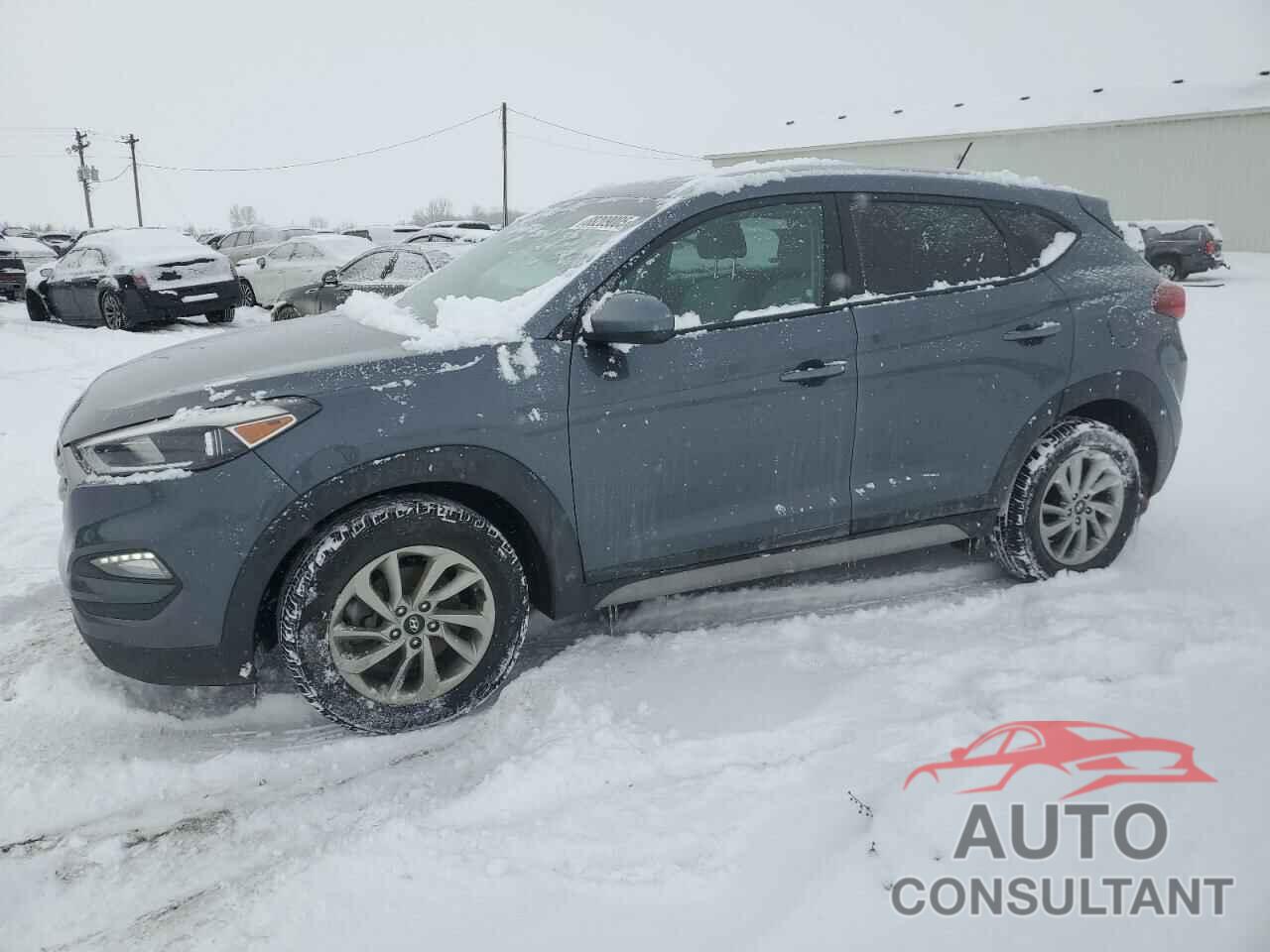 HYUNDAI TUCSON 2017 - KM8J33A41HU594032