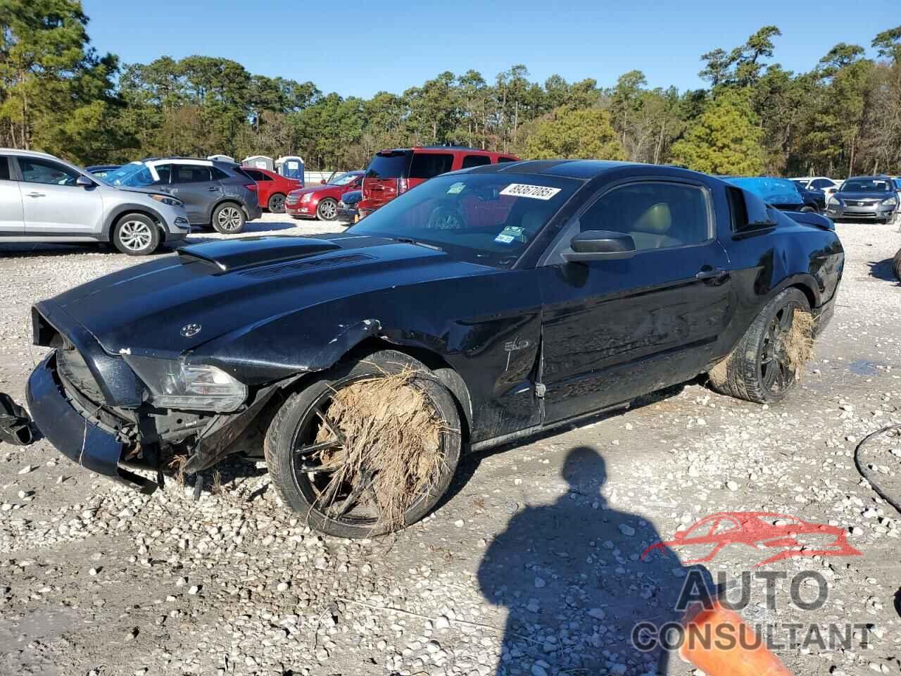 FORD MUSTANG 2014 - 1ZVBP8CF0E5267729