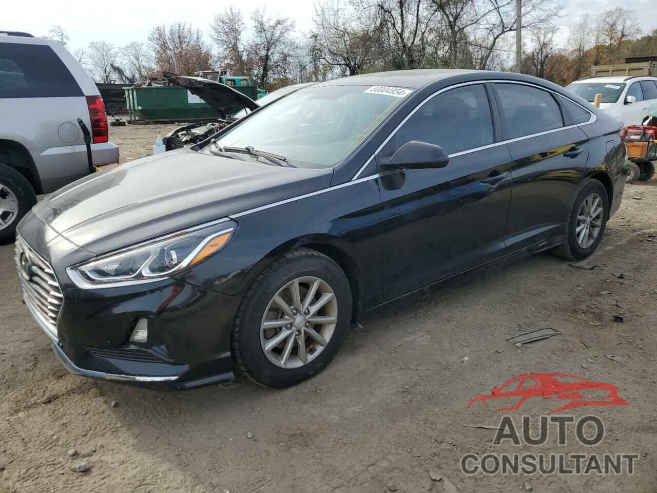 HYUNDAI SONATA 2018 - 5NPE24AF0JH724656