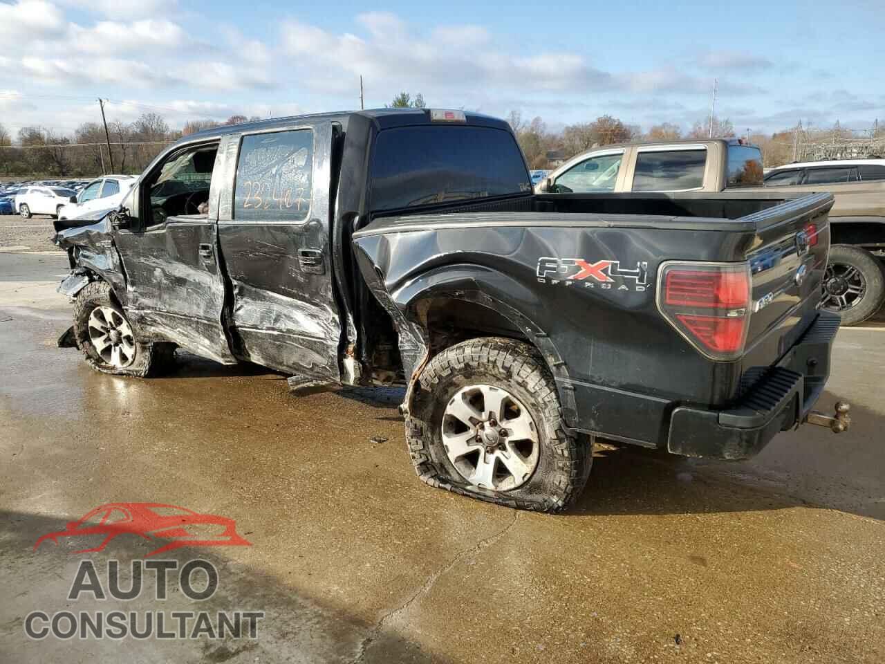 FORD F-150 2011 - 1FTFW1EF2BFA68313