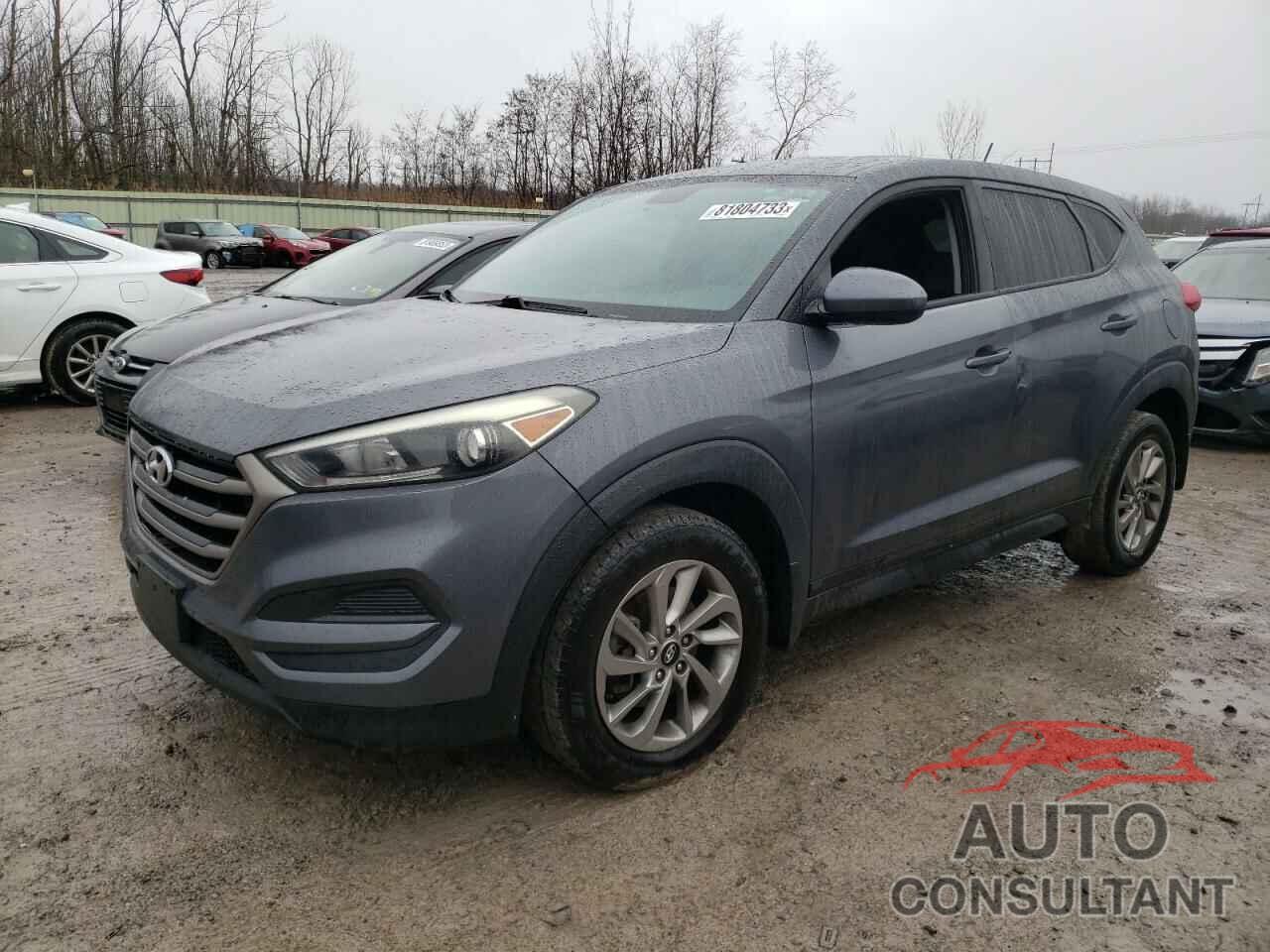 HYUNDAI TUCSON 2016 - KM8J23A43GU186424