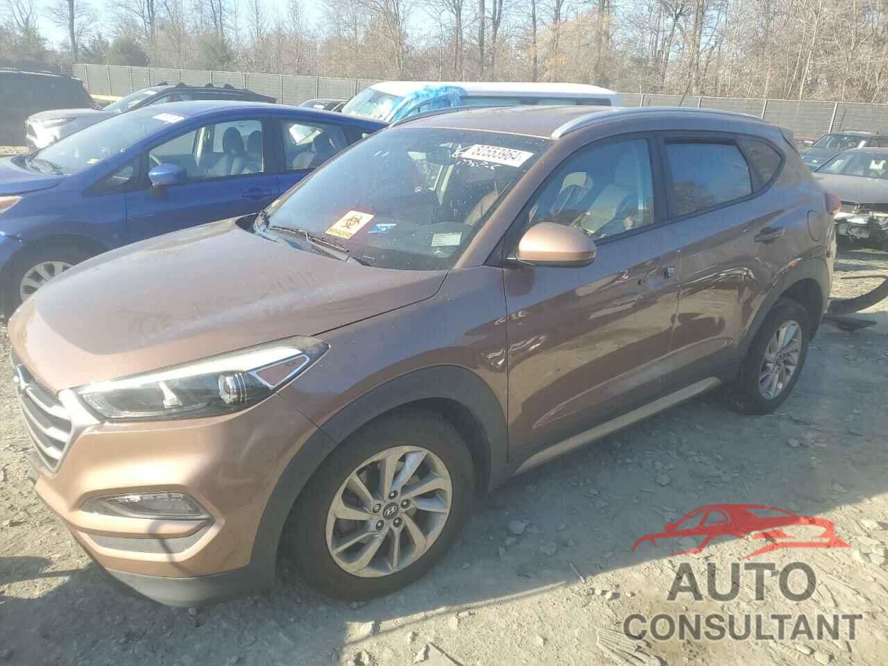 HYUNDAI TUCSON 2017 - KM8J3CA43HU316104