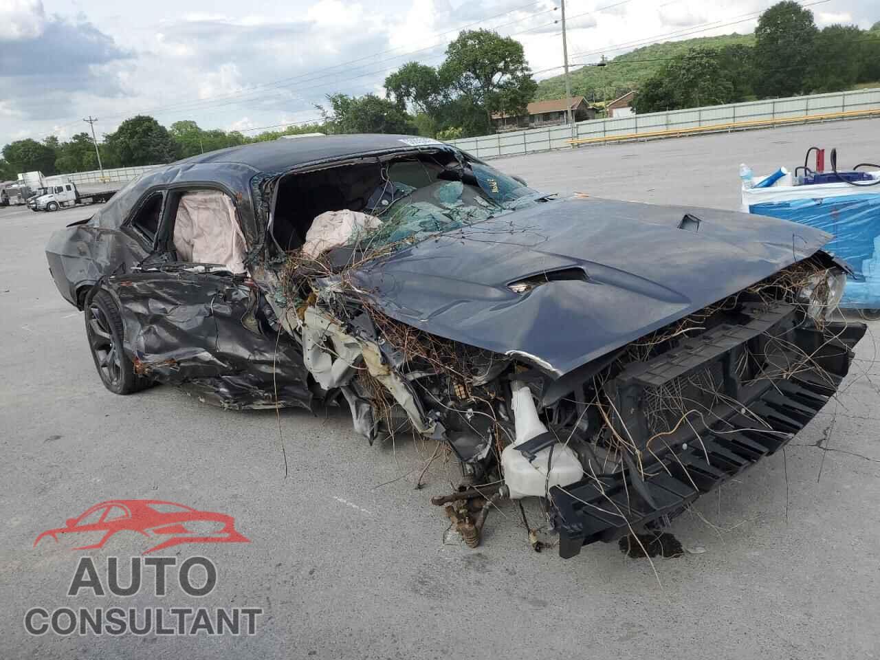 DODGE CHALLENGER 2017 - 2C3CDZAG5HH659463