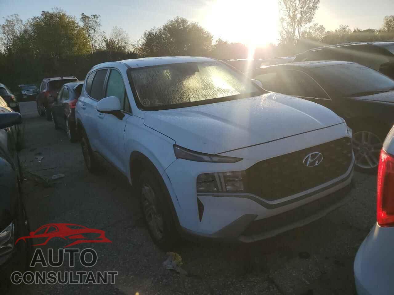 HYUNDAI SANTA FE 2023 - 5NMS14AJ8PH543501