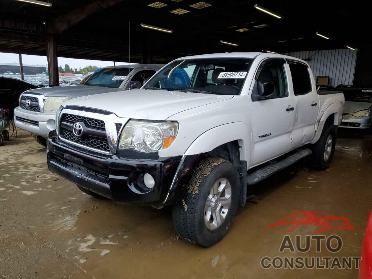 TOYOTA TACOMA 2011 - 3TMJU4GN5BM117204