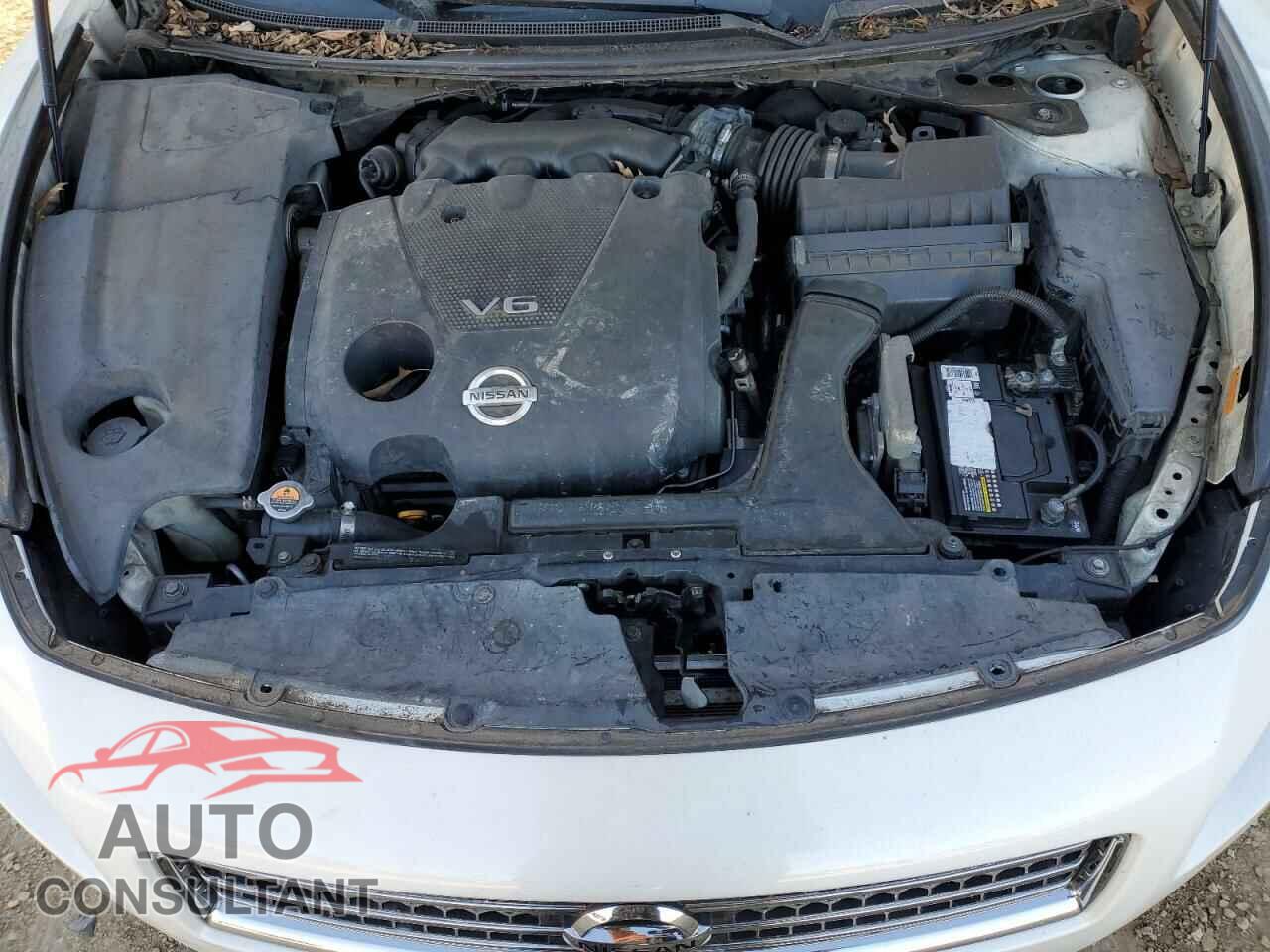 NISSAN MAXIMA 2011 - 1N4AA5AP1BC856473