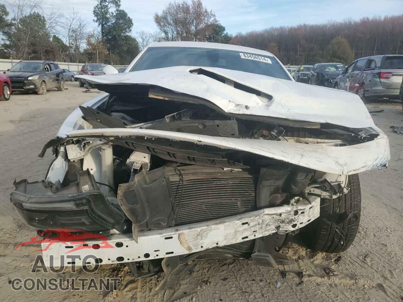 DODGE CHARGER 2019 - 2C3CDXCT4KH633362