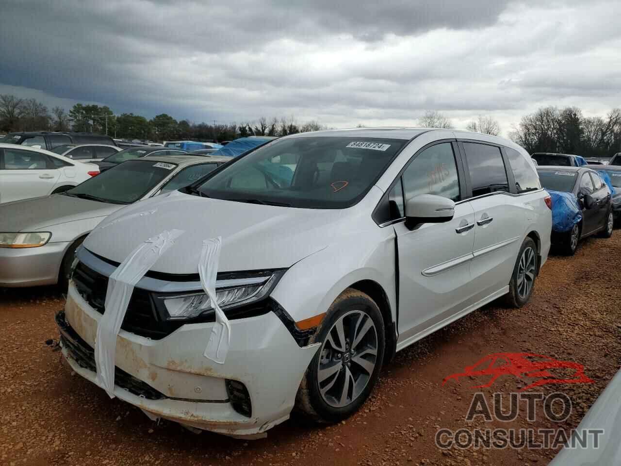 HONDA ODYSSEY 2024 - 5FNRL6H83RB003131